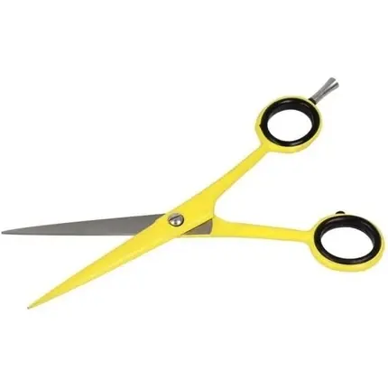 Comandă acum Foarfece păr, Zenish, 6 inch, oțel inoxidabil