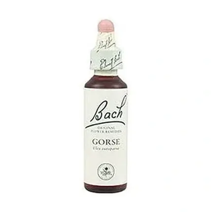 Remediu Floral Bach, Gorse No. 13, 20ml, Sticlă cu picurator Ofertă limitată