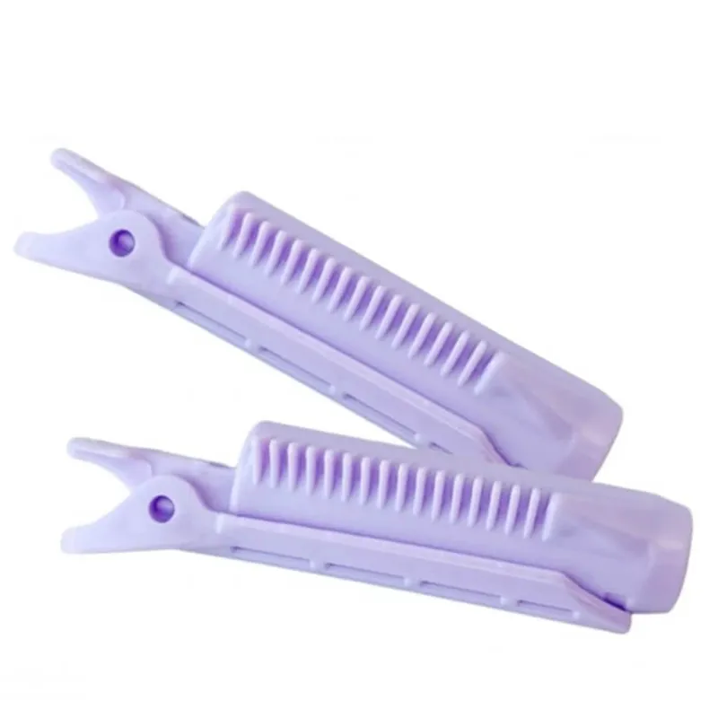 Premium Ecarla Cleme de coafat 10x3cm AK09, 2 bucăți